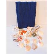 Ensemble filet bleu et 20 coquillages crochets