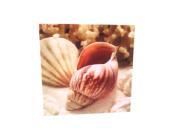Cadre escargot de mer