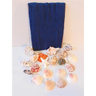 Ensemble filet bleu et 20 coquillages crochets